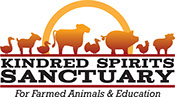 Kindred Spirits Sanctuary