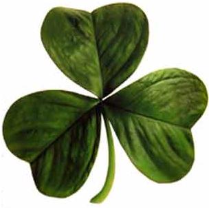 St. Paddy's